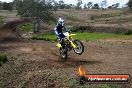Champions Ride Days MotoX Broadford 27 10 2013 - 3CR_5975