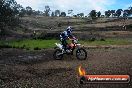 Champions Ride Days MotoX Broadford 27 10 2013 - 3CR_6000