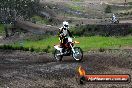 Champions Ride Days MotoX Broadford 27 10 2013 - 3CR_6010