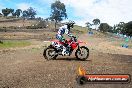 Champions Ride Days MotoX Broadford 27 10 2013 - 3CR_6032