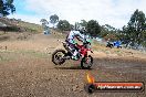 Champions Ride Days MotoX Broadford 27 10 2013 - 3CR_6033