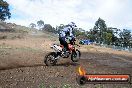 Champions Ride Days MotoX Broadford 27 10 2013 - 3CR_6052