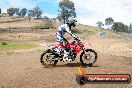 Champions Ride Days MotoX Broadford 27 10 2013 - 3CR_6071