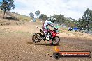 Champions Ride Days MotoX Broadford 27 10 2013 - 3CR_6072