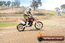 Champions Ride Days MotoX Broadford 27 10 2013 - 3CR_6101