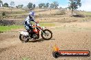 Champions Ride Days MotoX Broadford 27 10 2013 - 3CR_6106