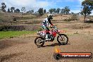 Champions Ride Days MotoX Broadford 27 10 2013 - 3CR_6110