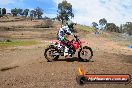Champions Ride Days MotoX Broadford 27 10 2013 - 3CR_6111