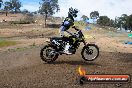 Champions Ride Days MotoX Broadford 27 10 2013 - 3CR_6116