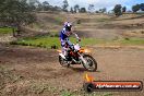 Champions Ride Days MotoX Broadford 27 10 2013 - 3CR_6124