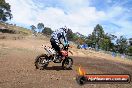 Champions Ride Days MotoX Broadford 27 10 2013 - 3CR_6183