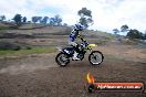 Champions Ride Days MotoX Broadford 27 10 2013 - 3CR_6201