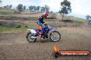 Champions Ride Days MotoX Broadford 27 10 2013 - 3CR_6216