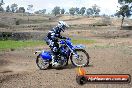 Champions Ride Days MotoX Broadford 27 10 2013 - 3CR_6228