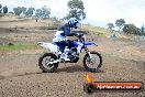 Champions Ride Days MotoX Broadford 27 10 2013 - 3CR_6236