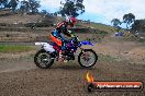 Champions Ride Days MotoX Broadford 27 10 2013 - 3CR_6242