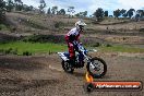 Champions Ride Days MotoX Broadford 27 10 2013 - 3CR_6258