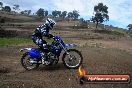 Champions Ride Days MotoX Broadford 27 10 2013 - 3CR_6264
