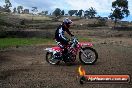 Champions Ride Days MotoX Broadford 27 10 2013 - 3CR_6276