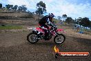 Champions Ride Days MotoX Broadford 27 10 2013 - 3CR_6277