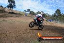 Champions Ride Days MotoX Broadford 27 10 2013 - 3CR_6302