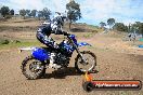 Champions Ride Days MotoX Broadford 27 10 2013 - 3CR_6308