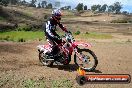 Champions Ride Days MotoX Broadford 27 10 2013 - 3CR_6314