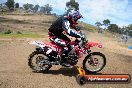Champions Ride Days MotoX Broadford 27 10 2013 - 3CR_6315