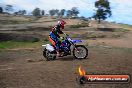 Champions Ride Days MotoX Broadford 27 10 2013 - 3CR_6332