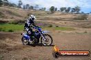 Champions Ride Days MotoX Broadford 27 10 2013 - 3CR_6366