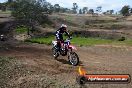 Champions Ride Days MotoX Broadford 27 10 2013 - 3CR_6392
