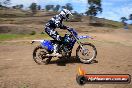 Champions Ride Days MotoX Broadford 27 10 2013 - 3CR_6410