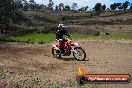 Champions Ride Days MotoX Broadford 27 10 2013 - 3CR_6414