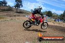Champions Ride Days MotoX Broadford 27 10 2013 - 3CR_6416