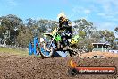 Champions Ride Days MotoX Broadford 27 10 2013 - 3CR_6448