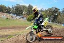 Champions Ride Days MotoX Broadford 27 10 2013 - 3CR_6450