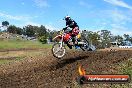 Champions Ride Days MotoX Broadford 27 10 2013 - 3CR_6458