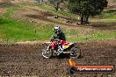 Champions Ride Days MotoX Broadford 27 10 2013 - 3CR_6461