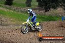 Champions Ride Days MotoX Broadford 27 10 2013 - 3CR_6503