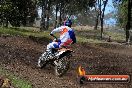 Champions Ride Days MotoX Broadford 27 10 2013 - 3CR_6517