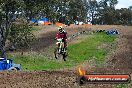 Champions Ride Days MotoX Broadford 27 10 2013 - 3CR_6519