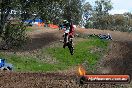 Champions Ride Days MotoX Broadford 27 10 2013 - 3CR_6541