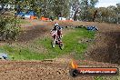 Champions Ride Days MotoX Broadford 27 10 2013 - 3CR_6565