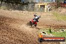 Champions Ride Days MotoX Broadford 27 10 2013 - 3CR_6575