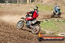 Champions Ride Days MotoX Broadford 27 10 2013 - 3CR_6588