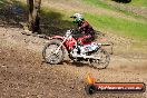 Champions Ride Days MotoX Broadford 27 10 2013 - 3CR_6597