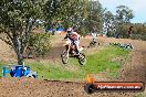 Champions Ride Days MotoX Broadford 27 10 2013 - 3CR_6603