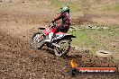 Champions Ride Days MotoX Broadford 27 10 2013 - 3CR_6652