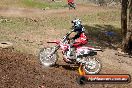 Champions Ride Days MotoX Broadford 27 10 2013 - 3CR_6730