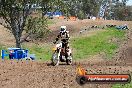 Champions Ride Days MotoX Broadford 27 10 2013 - 3CR_6859